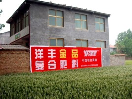 扬中如何让墙体广告展现最大化效果