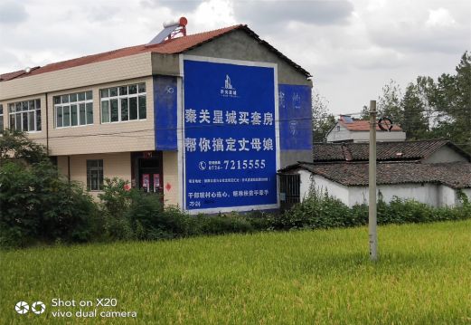 扬中决定墙体广告价格的因素有哪些?