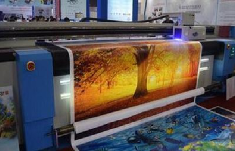 扬中写真有哪些介质？